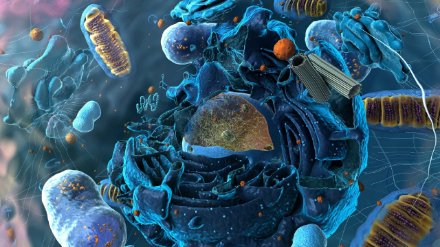Abstract image representing cellular and molecular science